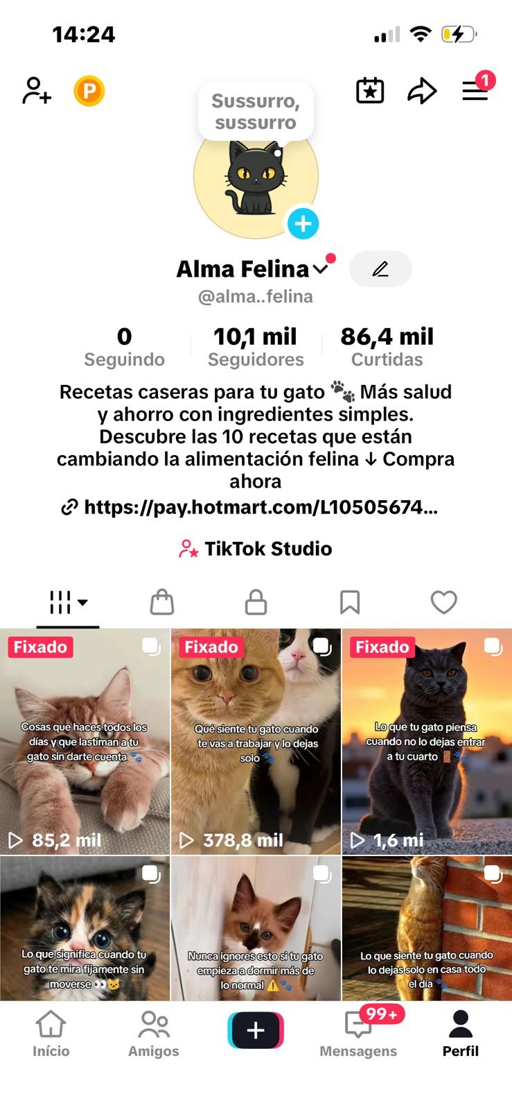 Vendo tiktok com shop ativo sem doc 1 Vendo tiktok com shop ativo sem doc