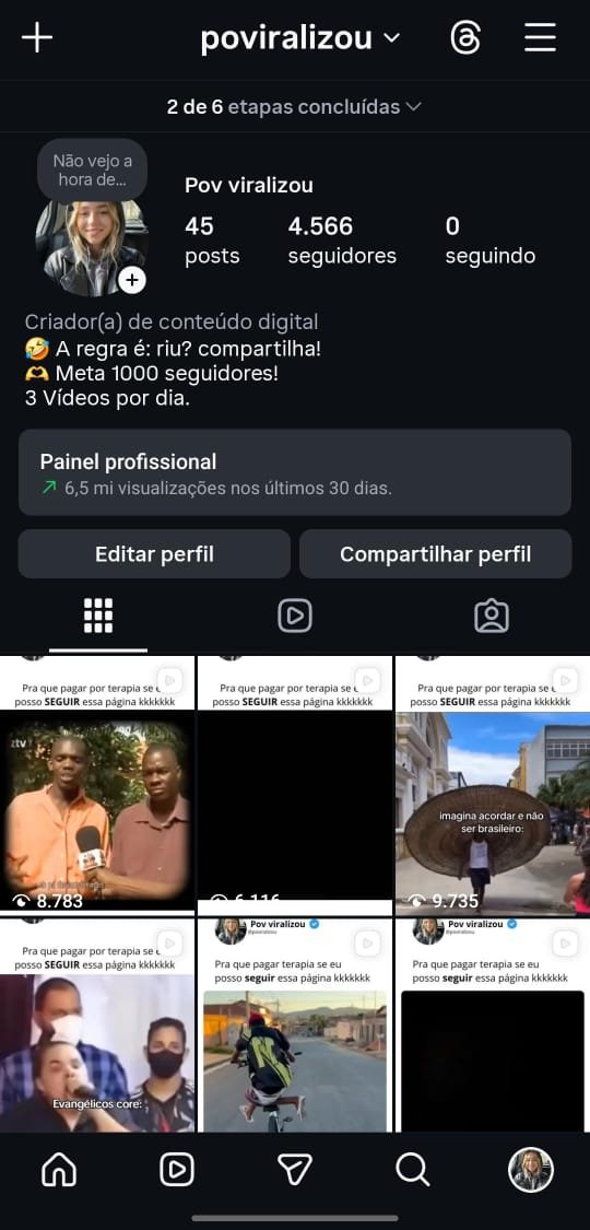 Perfil de Cortes e Humor 1 Perfil de Cortes e Humor