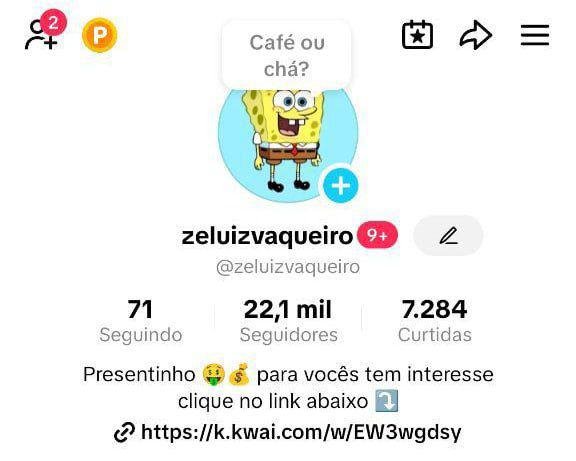 Conta do Tikok de Entretenimento Engajada 1 Conta do Tikok de Entretenimento Engajada