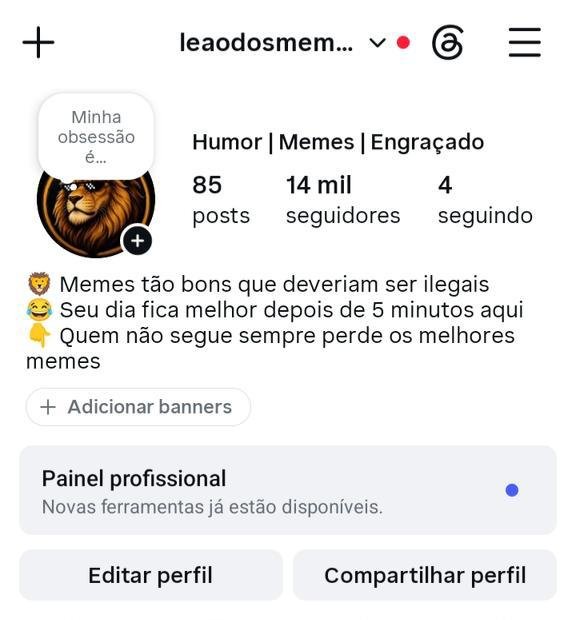 Instagram de Memes Com Engajamento Alto