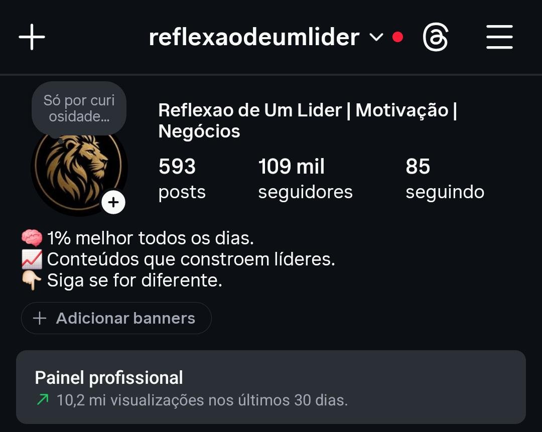 Perfil de Motivação De 100k 1 Perfil de Motivação De 100k