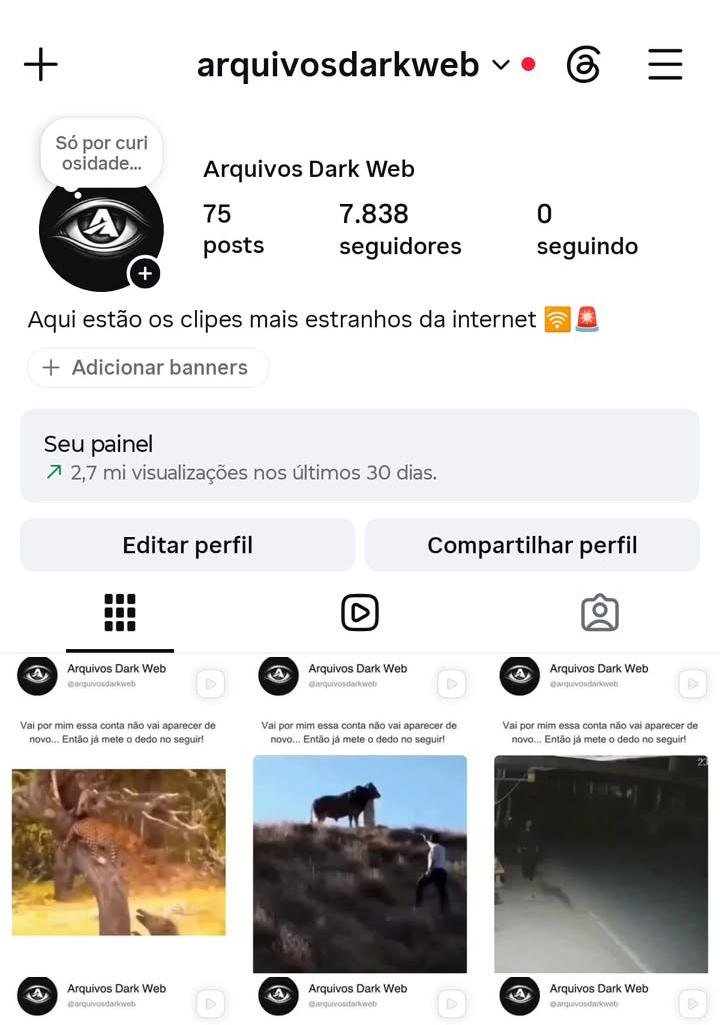 Perfil de Cortes da Dark Web 1 Perfil de Cortes da Dark Web